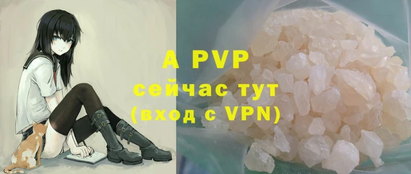 индика Кирс