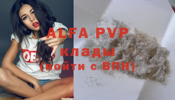сатива Киселёвск