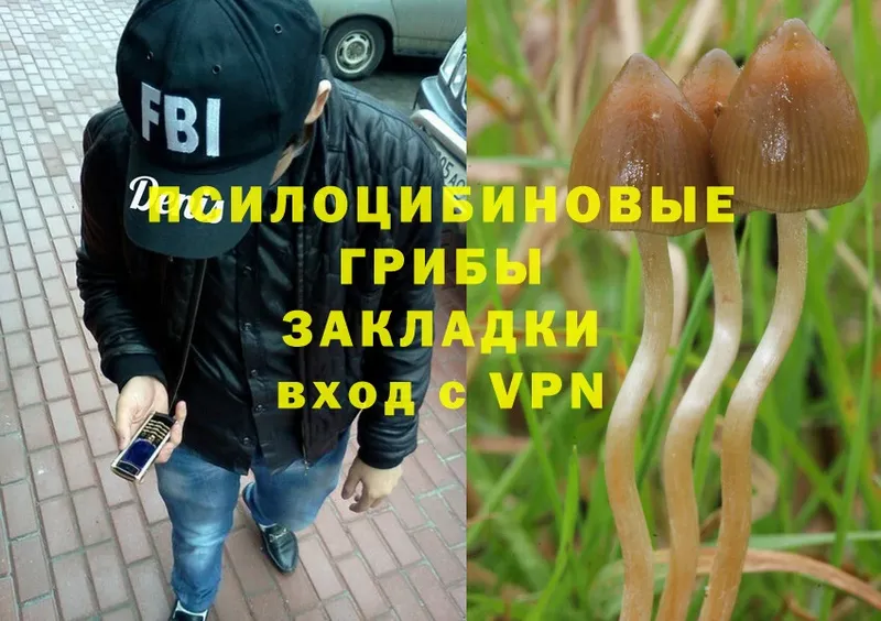 Галлюциногенные грибы Psilocybe  Бахчисарай 