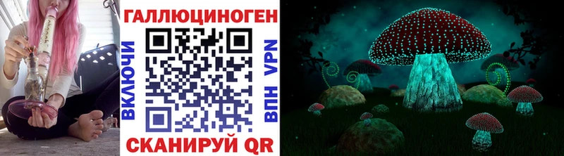 купить закладку  Бахчисарай  Псилоцибиновые грибы Cubensis 