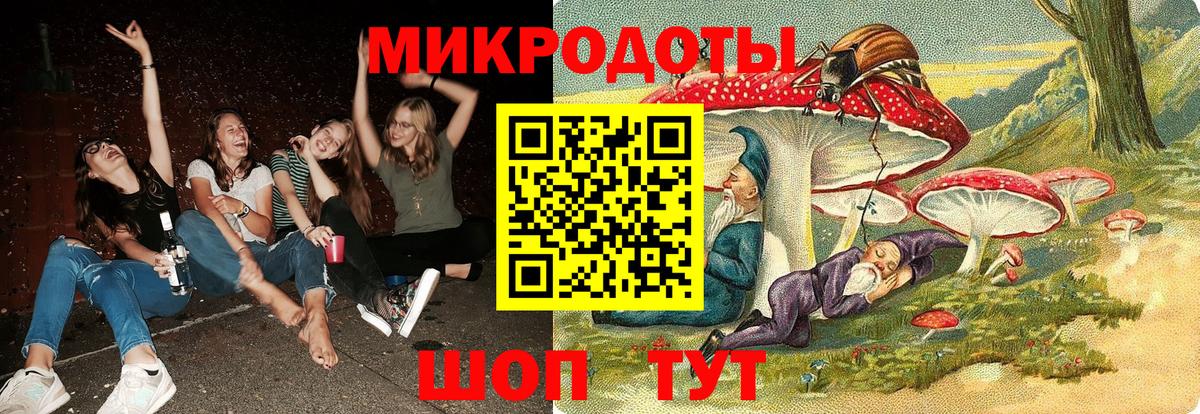 Псилоцибиновые грибы Psilocybine cubensis Бахчисарай