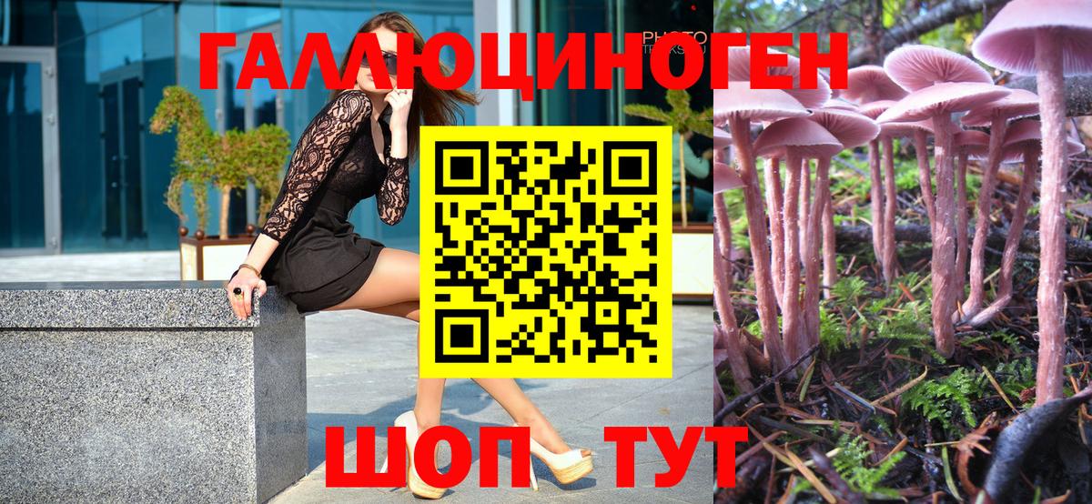 Псилоцибиновые грибы мицелий Бахчисарай